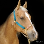 Classic Nylon Hybrid Horse Halter